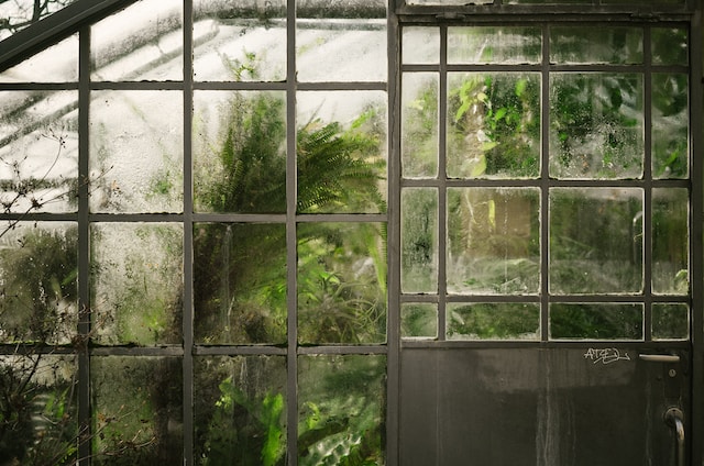 Maximizing Natural Light: The Benefits of Garden Windows in Your Home
