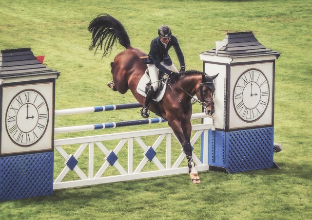 Maximizing Potential: The Impact of Horse Jumping Accessories on Performance